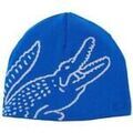 Bonnet Lacoste RB3021-00-2EL