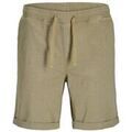 Short Jack & Jones Jaidens