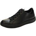 Ville basse Ecco -