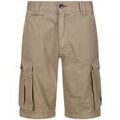 Shorts/Bermuda sur Grenoble : Short Regatta Shorebay