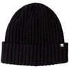 Bonnet DC Shoes Fish N Destroy 2