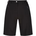 Short Regatta Xert