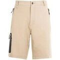Shorts/Bermuda sur Grenoble : Short Trespass Runnel