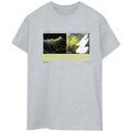 Tee-shirts sur Grenoble : T-shirt Dc Comics Future To Past