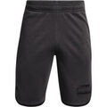 Shorts/Bermuda sur Grenoble : Short Under Armour UA RIVAL TERRY LCKRTG SHORT