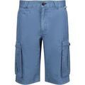 Shorts/Bermuda sur Grenoble : Short Regatta Shorebay