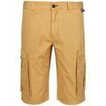 Shorts/Bermuda sur Grenoble : Short Regatta Shorebay
