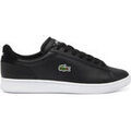Baskets homme sur Grenoble : Baskets basses Lacoste CARNABY SET 224 1
