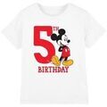 Tee-shirts enfants sur Grenoble : T-shirt enfant Disney TV3704