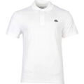 Polos sur Grenoble : Polo Lacoste polo entry