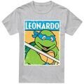Tee-shirts sur Grenoble : T-shirt Teenage Mutant Ninja Turtles TV6646