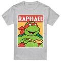 Tee-shirts sur Grenoble : T-shirt Teenage Mutant Ninja Turtles TV6647