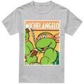 Tee-shirts sur Grenoble : T-shirt Teenage Mutant Ninja Turtles TV6648
