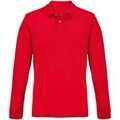 Polo Sols 04441