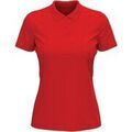 Tee-shirts sur Grenoble : T-shirt Stedman Lux