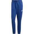 Sportswear sur Grenoble : Jogging adidas M FEELCOZY PANT