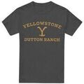 Tee-shirts sur Grenoble : T-shirt Yellowstone TV18080