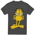 Tee-shirts sur Grenoble : T-shirt Garfield Big Ol' Cat