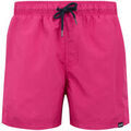Shorts/Bermuda sur Grenoble : Short Regatta Mawson II