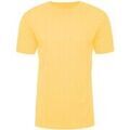 Tee-shirts sur Grenoble : T-shirt Next Level AB665