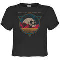 Tee-shirts sur Grenoble : T-shirt Amplified Clothing Skull Planet