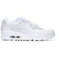 Baskets femme sur Grenoble : Baskets basses Nike Air Max 90