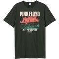 Tee-shirts sur Grenoble : T-shirt Amplified Clothing Pompeii Album Cover