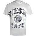 Tee-shirts sur Grenoble : T-shirt Diesel SY1358