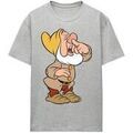 Tee-shirts sur Grenoble : T-shirt Disney TV25259