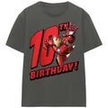 Tee-shirts sur Grenoble : T-shirt Marvel TV25317