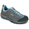 Randonn&eacute;e sur Grenoble : Chaussures Asolo SPACE GV Gris