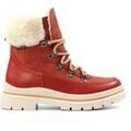 Bottes femme sur Grenoble : Bottines Lunar Evelyn