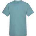 Tee-shirts sur Grenoble : T-shirt Awdis AT001