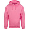 Veste Awdis College
