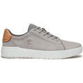 Baskets homme sur Grenoble : Baskets basses Timberland Seneca Bay