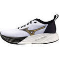 Running sur Grenoble : Chaussures Mizuno NEO ZEN 2