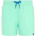 Shorts/Bermuda sur Grenoble : Short Regatta Mawson II