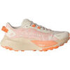 Chaussures The North Face W ALTAMESA 500 V2