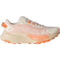 Running sur Grenoble : Chaussures The North Face W ALTAMESA 500 V2