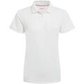 Pull sur Grenoble : Polo Craghoppers Thornbury