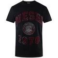 Tee-shirts sur Grenoble : T-shirt Diesel SY3908
