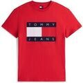 Tee-shirts sur Grenoble : T-shirt Tommy Jeans Tjm Reg Big Flag Ss