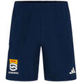 Short adidas DHL Stormers Gym Short