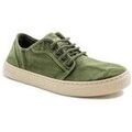 Baskets basses Natural World 41623
