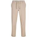 Jeans/Pantalons sur Grenoble : Pantalon Jack & Jones 12305237 STACE-PLAZA TAUPE