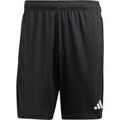 Shorts/Bermuda sur Grenoble : Short adidas TIRO23 CB TRSHO