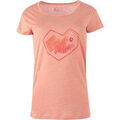 Chemises sur Grenoble : Chemise Neak Peak SAVANAH SF