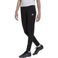 Sportswear sur Grenoble : Jogging adidas ENT22 TR PNT W