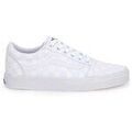 Skate & rollers sur Grenoble : Chaussures de Skate Vans W51 Ward W