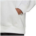 Pull sur Grenoble : Sweat-shirt adidas W ALL SZN BF HD